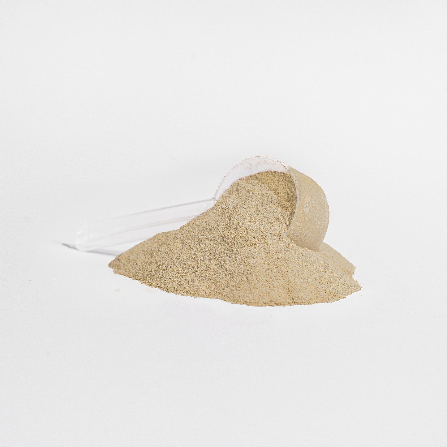 Whey Protein Isolate Vanilla | Smooth Vanilla Protein
