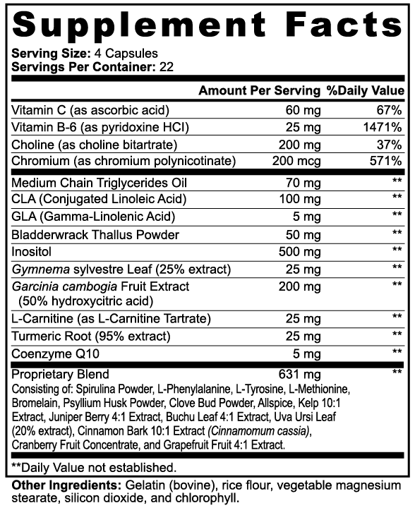 Lean Cut Stack – Chocolate Edition | Daily Fitness & Active Lifestyle Support