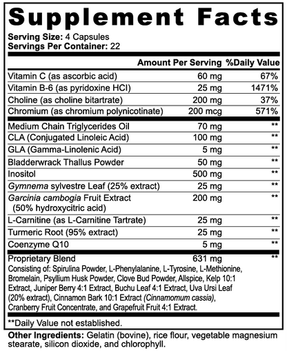 Lean Cut Stack – Chocolate Edition | Daily Fitness & Active Lifestyle Support