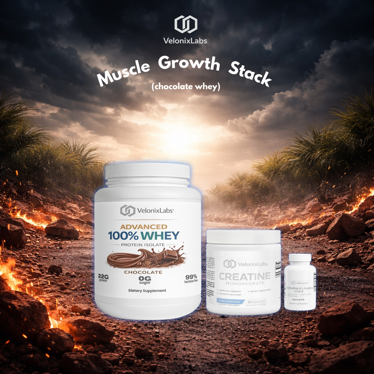 Muscle Growth Stack - Chocolate Edition | Strength & Recovery Support